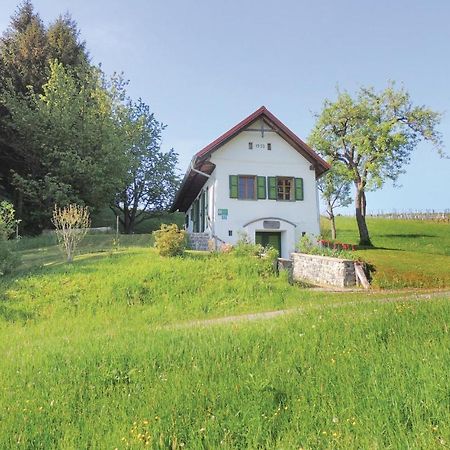 Haus In Strem Mit Panoramab, Villa Exteriör bild